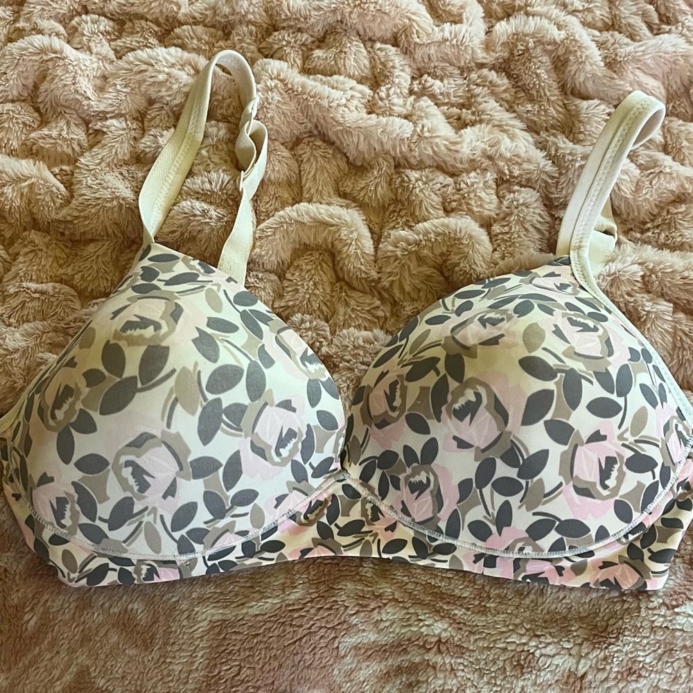 Warner’s Bra